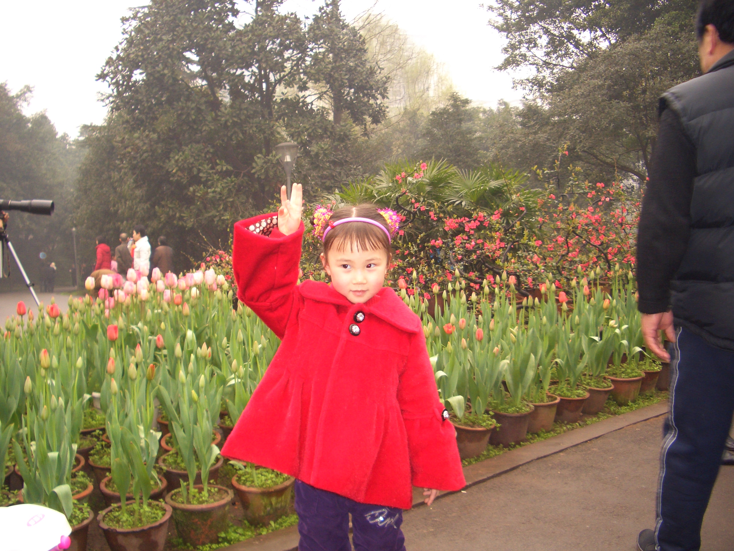 你好